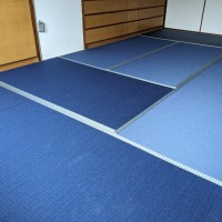 PXL_20240125_003829893