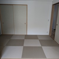 PXL_20240315_012340552